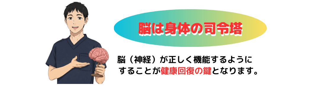 脳は身体の司令塔